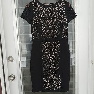 Anthropolgie bodycon dress